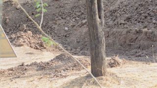 Have A Hawk Eye? Spot The Hidden Leopard In This Photo In 10 Seconds