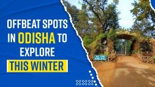 Winter Travel Guide: Mesmerizing Offbeat Hidden Gems Of Odisha That You Should Explore During Winters - Watch Video