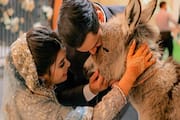 Groom gifted a donkey : नवरदेवाने नवरीला लग्नात गिफ्ट केले गाढव, पाकिस्तानातील व्हिडिओ होतोय व्हायरल!
