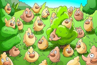Optical Illusion: Can You Find The Pig Hidden Among These Chickens Within 5 Seconds?