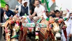 विपक्षी एकता को मजबूती देने की कवायद, कांग्रेस ने 'भारत जोड़ो यात्रा' के समापन समारोह में 21 दलों को दिया न्योता