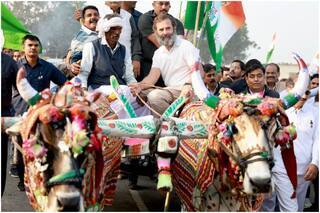 Bharat Jodo Yatra: राहुल गांधी को कर्नाटक हाईकोर्ट से राहत, KGF2 से जुड़ा है मामला
