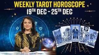Weekly Tarot Card Readings: Video Prediction From 19th To 25th December For All Zodiac Signs - Watch Video