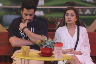 Bigg Boss 16 : टीना दत्ता की पीठ में दोस्त ने घोंपा छुरा! बदले शलीन भनोट के तेवर