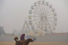 ‘Brief Relief’ From Cold Wave After Delhi Shivers Under 18-Hour Fog Cover, But Chill To Return In Early Jan