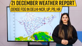 Weather Forecast India: Dense Fog to Envelope Delhi-NCR, Punjab, UP; Hefty Rain in Tamil Nadu - Watch Video