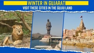 Gujarat Travel Guide: Great Rann of Kutch to Dwarka, Top 5 Must Visit Places - Watch Video