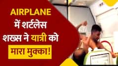 Viral Video: फ्लाइट में पैसेंजर की दिखी दादागिरी, सीट पर बैठे यात्री को दे दना दन कूटा | देखें वीडियो
