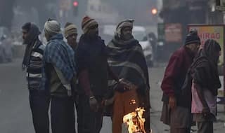 IMD Weather Update: Respite From Brutal Cold Wave In These States After 24 Hours | Check List Here