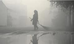 Severe Cold Wave, Dense Fog To Continue in These States for 3 Days