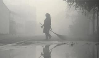 Fog Alert! Several Flights Delayed, Delhi Airport Issues Advisory. Deets Inside