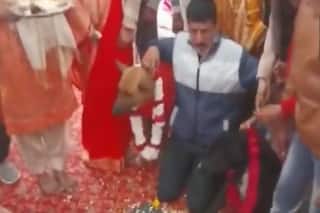Tommy Weds Jaily: Dogs Get Hitched in UP's Aligarh With Music, Dance, Pheras. Viral Video Here