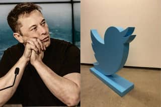 Want To Bid? Musk-Owned Twitter Auctions 631 Office Assets Including Iconic Bird Statues
