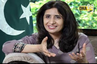 Pakistan Visa: वीजा के लिए सेक्सुअलिटी को लेकर पूछे गए भद्दे सवाल, महिला के आरोप पर पाकिस्तान का रिएक्शन