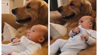 Viral Video Of Love Between Human Baby And Its Doggie Sibling Is Winning Hearts All Over | Watch Here