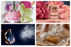 How To Store Perfumes Like A Pro