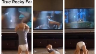 Sylvester Stallone Would Be So Proud Of THIS ‘Rocky Fan In Diaper’ | Watch Viral Video
