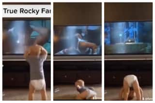 Sylvester Stallone Would Be So Proud Of THIS    Rocky Fan In Diaper    | Watch Viral Video