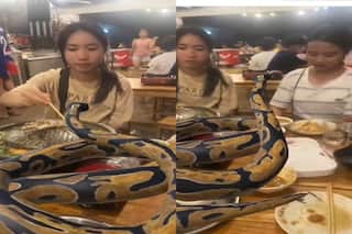Video Of Women Dining With Python On Table Leaves Netizens Shocked. But Heres Catch
