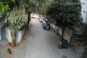 india.com top news