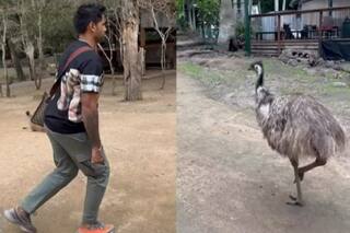 न्यूजीलैंड सीरीज से पहले सूर्यकुमार इस पक्षी के साथ कर रहे खास चीज की प्रैक्टिस- VIDEO