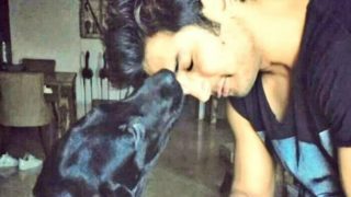 Sushant Singh Rajput's Dog Dies, Emotional Fans Recall Their Beautiful Bond - Check Tweets