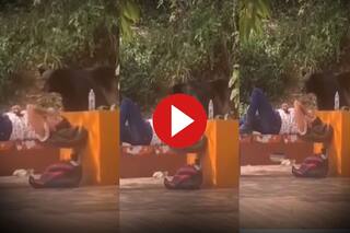Bhalu Ka Video: पार्क में लेटी हुई थी लड़की तभी आ धमका भालू, फिर जो हुआ चमत्कार ही कहेंगे- देखें वीडियो