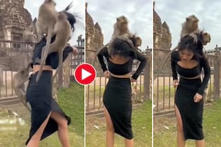 Bandar Ka Video: लड़की ने बंदर को छेड़ा तो आ गई पूरी वानरी सेना, फिर जो मजा चखाया सोच नहीं सकते- देखें वीडियो