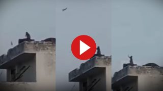 Bandar Ka Video: छत पर जाकर बंदर ने जमा लिया पतंग पर कब्जा, फिर मजे से उड़ाने भी लगा- देखें वीडियो