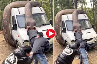 Azgar Ka Video: पहले गाड़ी से लिपटा फिर शख्स को जिंदा निगलने लगा अजगर, नजारा देख सूख गए सभी- देखें वीडियो