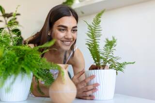 Vastu Plants For Home: 4 Best Indoor Plants For a Positive And Happy Environment