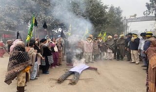 Health Concerns: Why Villagers In Punjab's Zira Are Demanding Closure Of Ethanol Plant