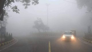 Weather Alert: भीषण ठंड और कोहरे की गिरफ्त में है पूरा उत्तर भारत, 13 जनवरी तक राहत मिलने की उम्मीद नहीं, जानिए