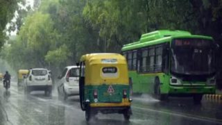 Delhi Witnesses Sudden Weather Change: Light Rainfall, Thunderstorm Reported In Many Areas