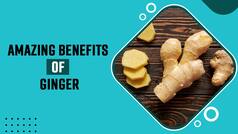 Winter Health Care: These Five Health Benefits Of Ginger Can Surprise You, Do Add In Your Diet | Watch Video
