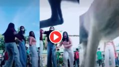 Ladki Ka Video: कैमरे में डांस रिकॉर्ड कर रही थीं लड़कियां, तभी आया डॉगी और हिला दिया | देखें वीडियो