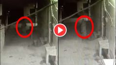 Bhoot Ka Video: कैमरे में कैद हुआ 'भूत', रात के अंधेरे में अचानक आ धमका | हिला देगा ये वीडियो