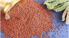 Indian Millets Year 2023: मोटे अनाज की श्रेणी में शामिल किए गए हैं ये 8 अनाज, क्या हैं इनके फायदे, जानिए