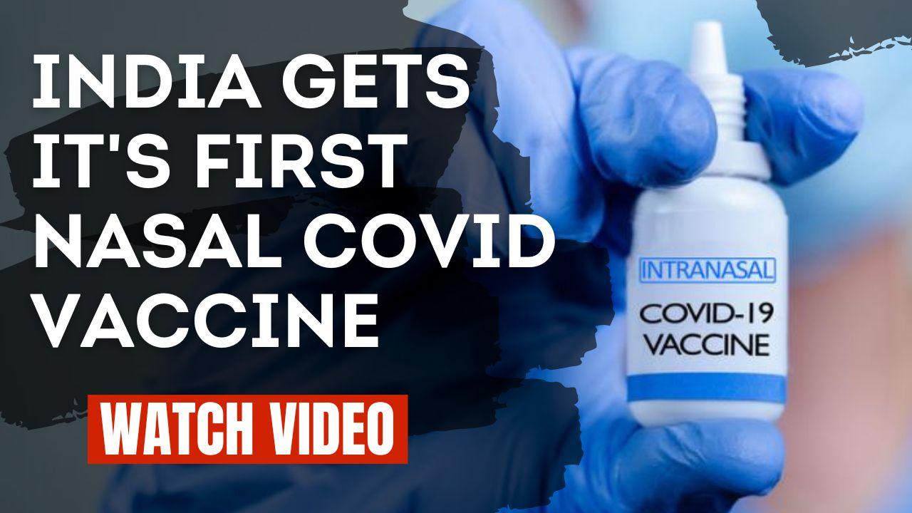 Covid Nasal Vaccine India Launches It S First Covid Nasal