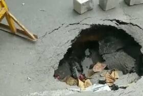 india.com top news