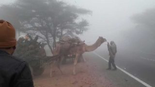 Rajasthan Weather update: कई इलाकों में पारा माइनस में पहुंचा, सिकर में कोहरे का प्रकोप