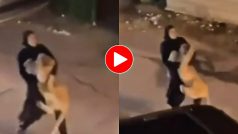 Sherni Ka Video: खतरनाक शेरनी को गोद में उठाकर यूं झटपट भागी महिला, नजारा देख सहम गए लोग- देखें वीडियो