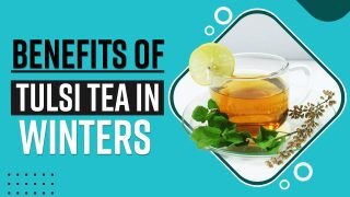 Tulsi Tea Benefits: Why You Must Drink Tulsi/Basil Tea During Winters - Watch Video