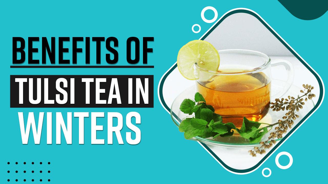 Tulsi Tea Benefits Why You Must Drink Tulsi Basil Tea During Winters Watch Video