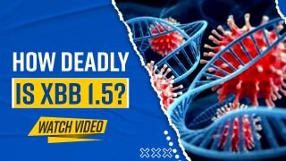 Covid New Variant: How Infectious Is The XBB Variant 1.5 And Why Is It Rising?  Watch Video