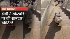 Viral Video: कुत्ते को कभी स्केटिंग करते देखा है? ये वीडियो देख देख हंसी से लोट-पोट हो जाएंगे आप | Watch Video