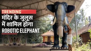 Robotic Elephant: केरल मंदिर में अनुष्ठान के लिए देवता को समर्पित किया गया 'रोबोटिक हाथी', जानें क्या है खासियत| Watch Video