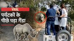 Viral Video: गैंडे ने पर्यटकों से भरी सफारी जीप को दौड़ाया, वीडियो में देखें कैसे बची जान | Watch video