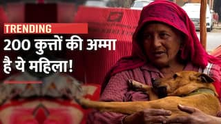 Delhi Dog Amma: घर में 200 से ज्यादा कुत्ते पाल रखी है ये महिला, 'डॉग अम्मा' के नाम से जानते हैं लोग | Watch Video