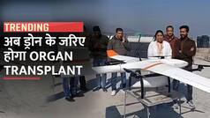 TB Medicine By Drone: ऋषिकेश में पहली बार ड्रोन की मदद से भेजी गई दवा, अब ऑर्गन ट्रांसप्लांट का होगा ट्रायल, वीडियो में जानें कैसे | Watch Video